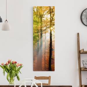 Impression sur toile Morning Light I Orange - 40 x 120 x 2 cm - Largeur : 40 cm