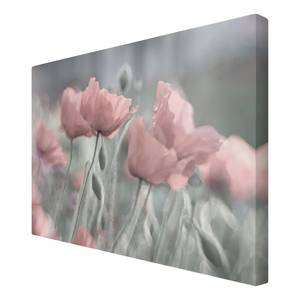 Impression sur toile Pavots peint III Rose - 120 x 80 x 2 cm - Largeur : 120 cm