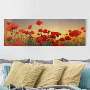 Leinwandbild Mohnblumenfeld I Rot - 120 x 40 x 2 cm - Breite: 120 cm