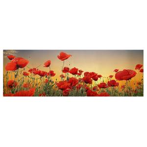 Impression sur toile Coquelicots I Rouge - 120 x 40 x 2 cm - Largeur : 120 cm