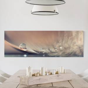 Impression sur toile Waterdrop I Beige - 150 x 50 x 2 cm - Largeur : 150 cm