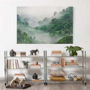 Leinwandbild Dschungel im Nebel I Grün - 60 x 40 x 2 cm - Breite: 60 cm