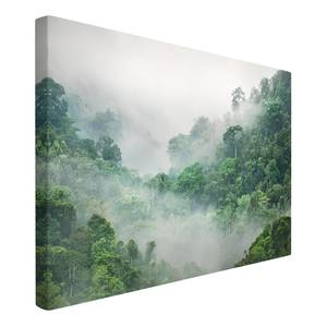 Leinwandbild Dschungel im Nebel I Grün - 60 x 40 x 2 cm - Breite: 60 cm