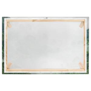 Canvas Giungla nella nebbia I Verde - 60 x 40 x 2 cm - Larghezza: 60 cm