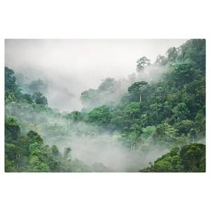 Leinwandbild Dschungel im Nebel I Grün - 120 x 80 x 2 cm - Breite: 120 cm