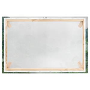 Afbeelding Jungle in Mist I groen - 120 x 80 x 2 cm - Breedte: 120 cm