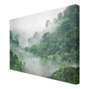 Impression sur toile Jungle I Vert - 120 x 80 x 2 cm - Largeur : 120 cm