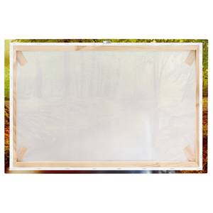 Leinwandbild Herbstwald II Orange - 90 x 60 x 2 cm - Breite: 90 cm