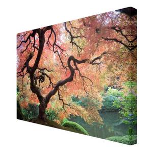 Impression sur toile Jardin japonais II Rouge - 120 x 80 x 2 cm - Largeur : 120 cm