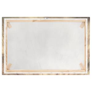 Impression sur toile Pissenlit IV Beige - 120 x 80 x 2 cm - Largeur : 120 cm