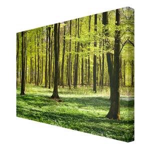 Canvas Selvaggio II Verde - 120 x 80 x 2 cm - Larghezza: 120 cm