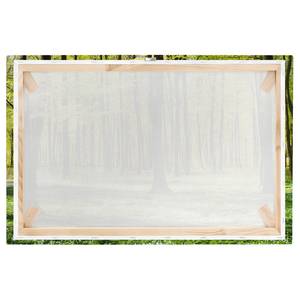 Impression sur toile Prairies II Vert - 120 x 80 x 2 cm - Largeur : 120 cm