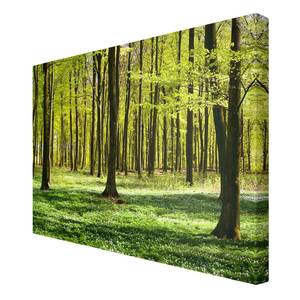 Impression sur toile Prairies II Vert - 60 x 40 x 2 cm - Largeur : 60 cm