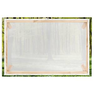 Impression sur toile Prairies II Vert - 60 x 40 x 2 cm - Largeur : 60 cm