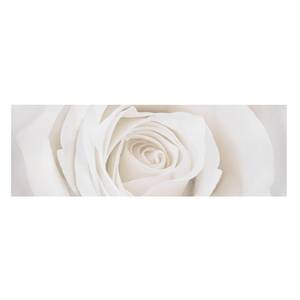 Leinwandbild Pretty White Rose II Weiß - 150 x 50 x 2 cm - Breite: 150 cm