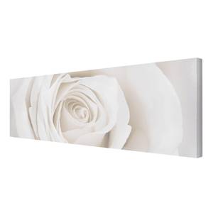 Leinwandbild Pretty White Rose II Weiß - 120 x 40 x 2 cm - Breite: 120 cm