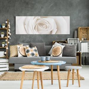 Impression sur toile Pretty Rose II Blanc - 120 x 40 x 2 cm - Largeur : 120 cm