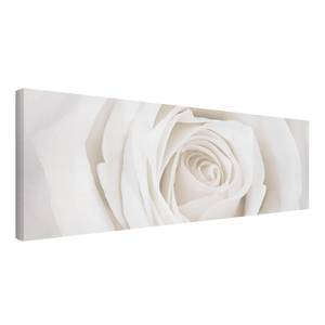 Leinwandbild Pretty White Rose II Weiß - 120 x 40 x 2 cm - Breite: 120 cm