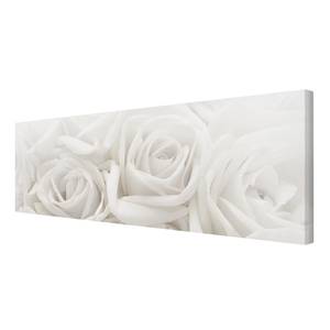 Leinwandbild Weiße Rosen II Beige - 150 x 50 x 2 cm - Breite: 150 cm