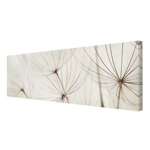 Impression sur toile Herbe douce II Blanc - 150 x 50 x 2 cm - Largeur : 150 cm