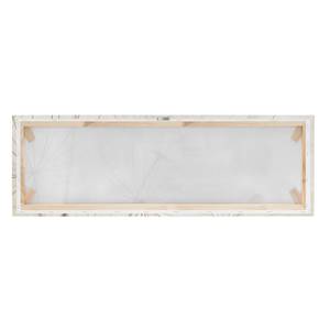 Canvas Dente di leone II Bianco - 150 x 50 x 2 cm - Larghezza: 150 cm