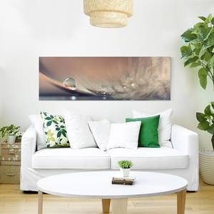 Leinwandbild Story of a Waterdrop II Beige - 150 x 50 x 2 cm - Breite: 150 cm