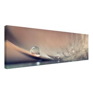 Afbeelding Story of a Waterdrop II beige - 150 x 50 x 2 cm - Breedte: 150 cm