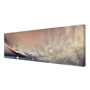 Impression sur toile Waterdrop II Beige - 150 x 50 x 2 cm - Largeur : 150 cm