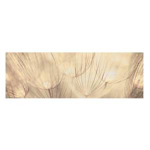 Afbeelding Paardenbloemen II beige - 120 x 40 x 2 - Breedte: 120 cm