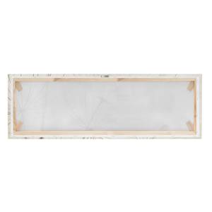Impression sur toile Herbe douce II Blanc - 120 x 40 x 2 cm - Largeur : 120 cm