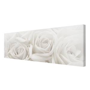 Impression sur toile Roses blanches II Beige - 120 x 40 x 2 cm - Largeur : 120 cm