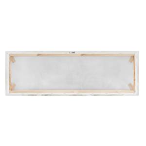 Leinwandbild Weiße Rosen II Beige - 120 x 40 x 2 cm - Breite: 120 cm