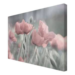 Afbeelding Pittoreske Klaprozen IV roze - 120 x 80 x 2 cm - Breedte: 120 cm