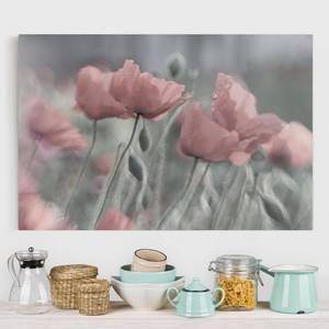 Canva Papaveri dipinti IV Rosa - 120 x 80 x 2 cm - Larghezza: 120 cm