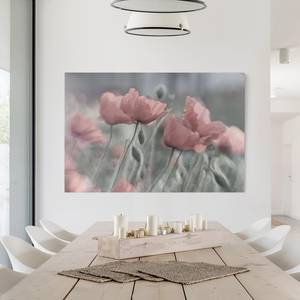 Impression sur toile Pavots peint IV Rose - 120 x 80 x 2 cm - Largeur : 120 cm