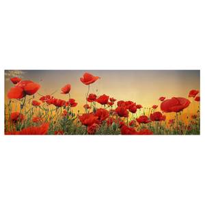 Afbeelding Klaprozenveld II rood - 150 x 50 x 2 cm - Breedte: 150 cm