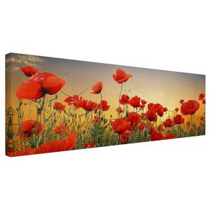 Impression sur toile Coquelicots II Rouge - 150 x 50 x 2 cm - Largeur : 150 cm