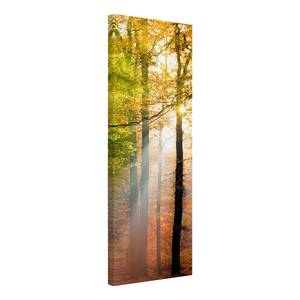 Afbeelding Morning Light II oranje - 50 x 150 x 2 cm - Breedte: 50 cm