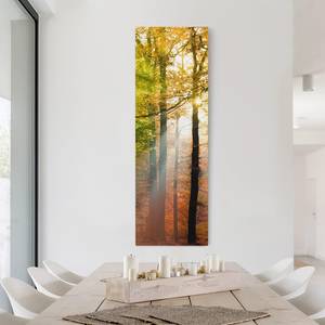 Impression sur toile Morning Light II Orange - 50 x 150 x 2 cm - Largeur : 50 cm