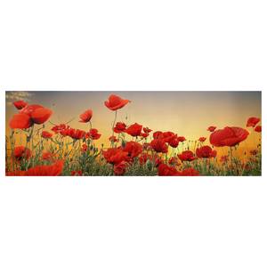 Leinwandbild Mohnblumenfeld II Rot - 120 x 40 x 2 cm - Breite: 120 cm