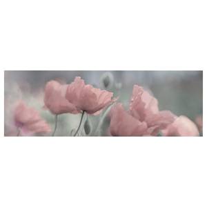 Leinwandbild Malerische Mohnblumen II Pink - 150 x 50 x 2 cm - Breite: 150 cm