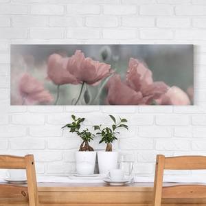 Leinwandbild Malerische Mohnblumen II Pink - 150 x 50 x 2 cm - Breite: 150 cm