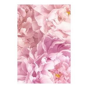 Wandbild Soave Papier - Rosa