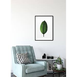 Tableau déco Ficus Leaf Papier - Vert / Blanc