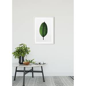 Tableau déco Ficus Leaf Papier - Vert / Blanc