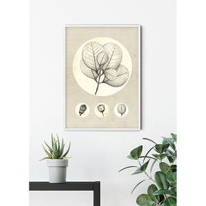 Poster Transparent Leaf Carta - Beige / Bianco