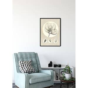 Poster Transparent Leaf Carta - Beige / Bianco