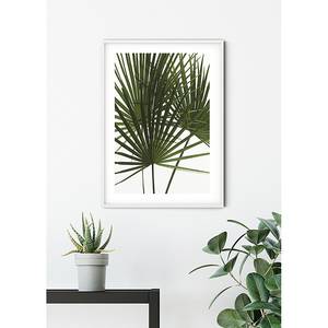 Afbeelding Palmtree Leaves papier - groen/wit