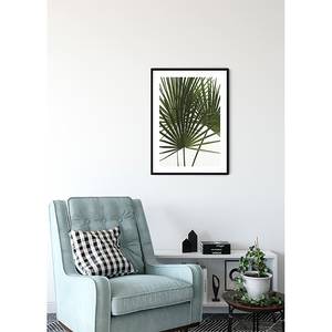 Tableau déco Palmtree Leaves Papier - Vert / Blanc