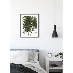 Afbeelding Palmtree Leaves papier - groen/wit